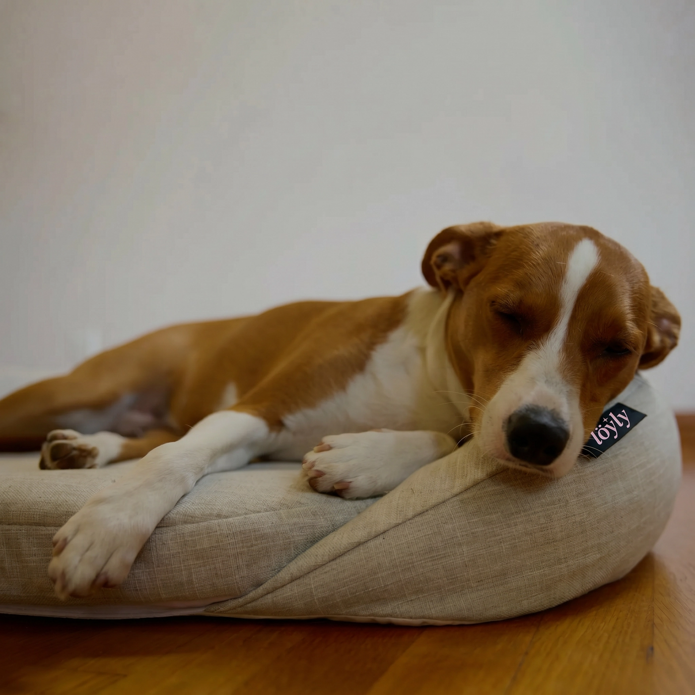 infrared-pemf-pet-bed image 10