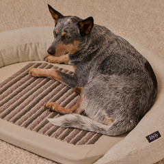 infrared-pemf-pet-bed image 11