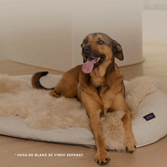 infrared-pemf-pet-bed image 14