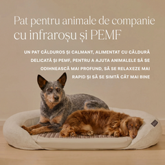 infrared-pemf-pet-bed image 2