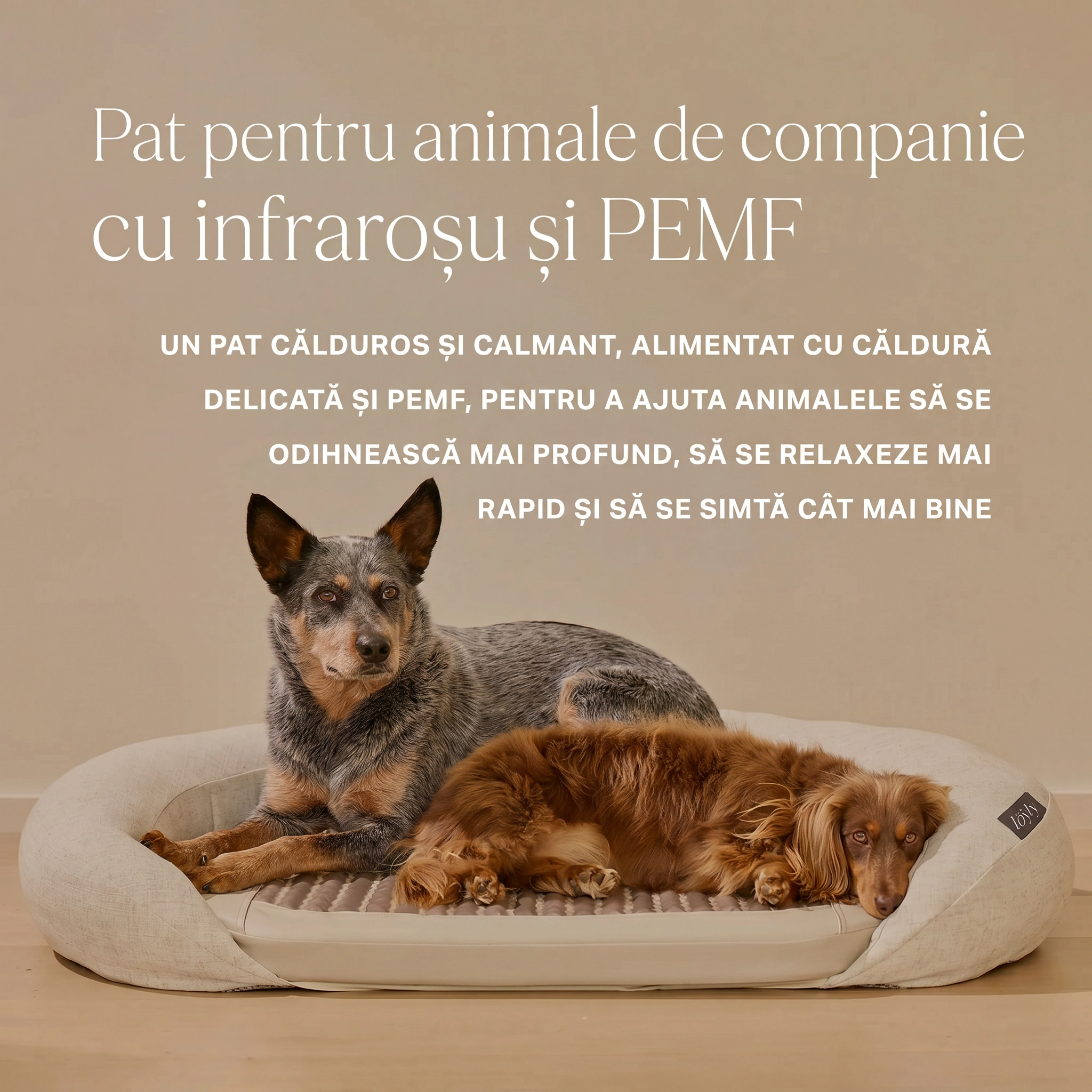 infrared-pemf-pet-bed image 2