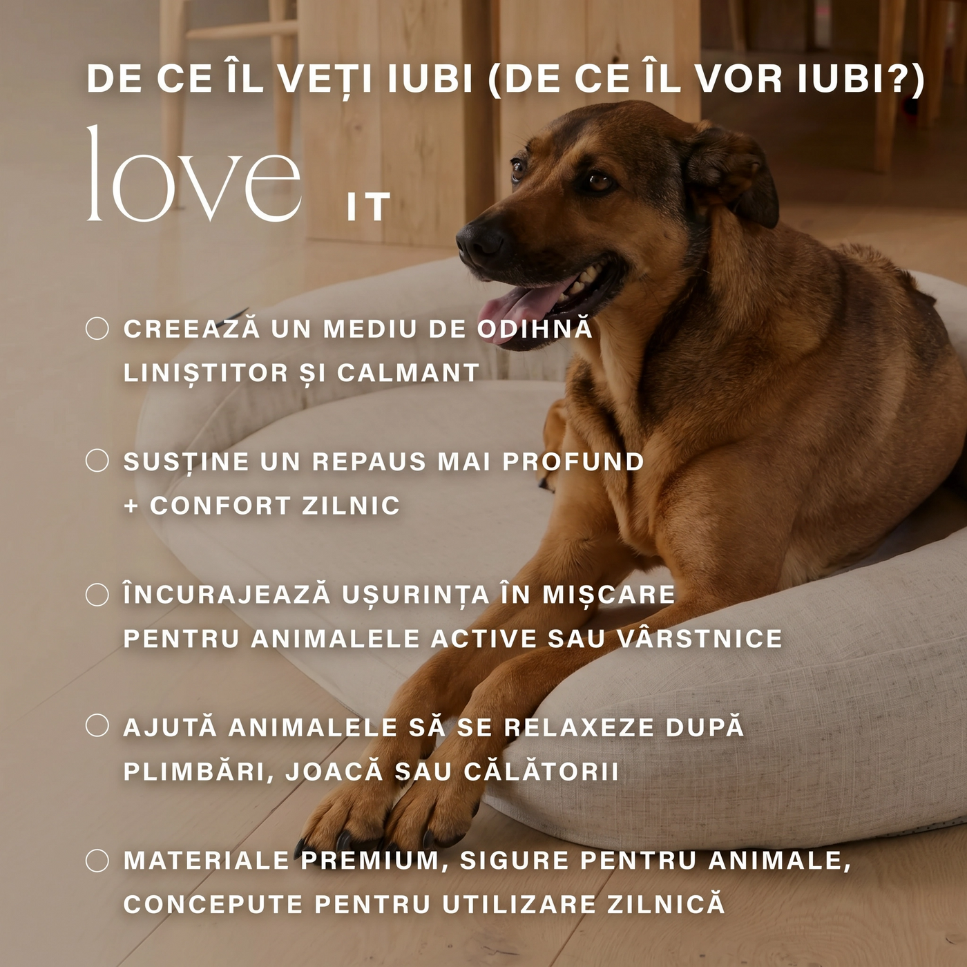 infrared-pemf-pet-bed image 3