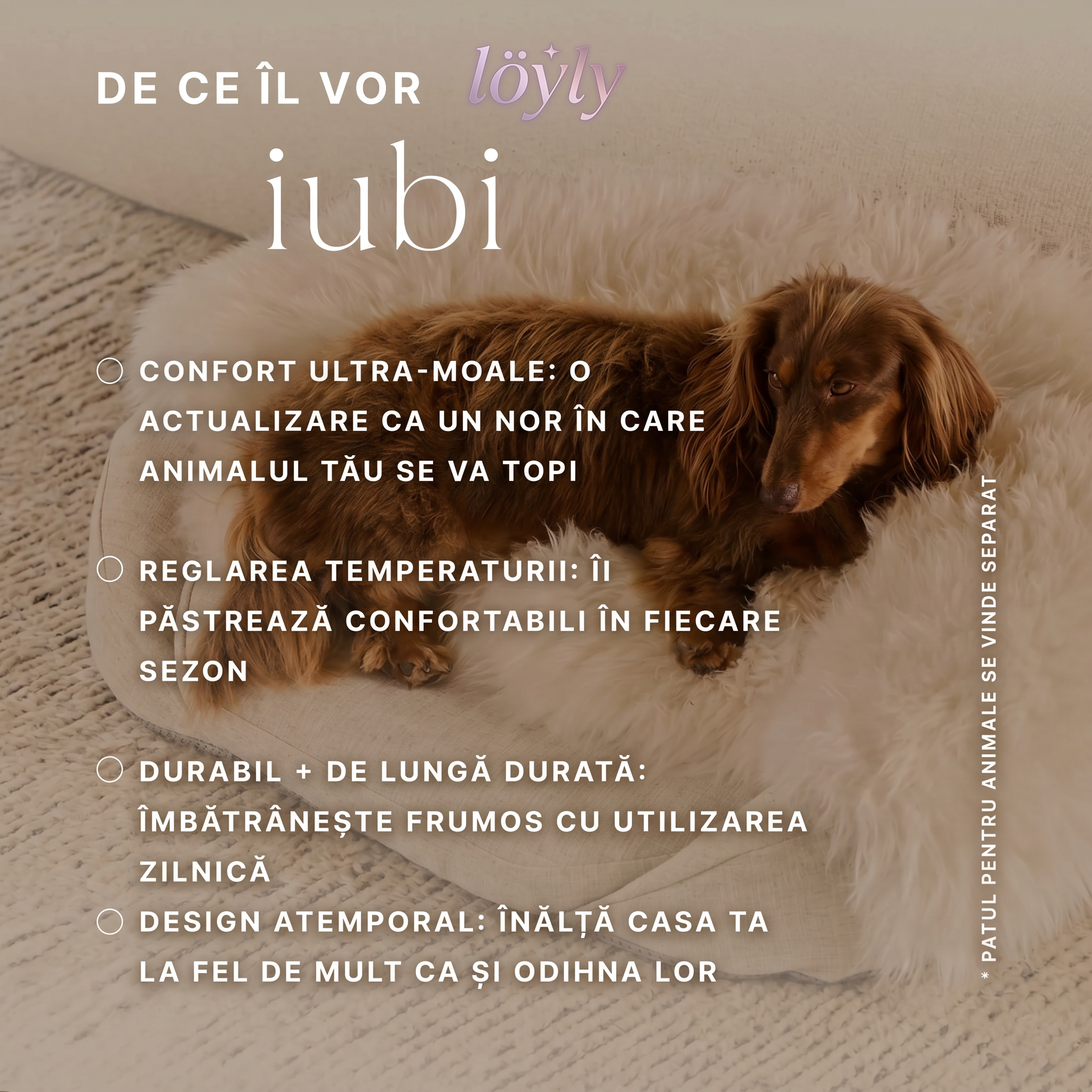 natural-sheep-shearling-pet-bed-cover image 3
