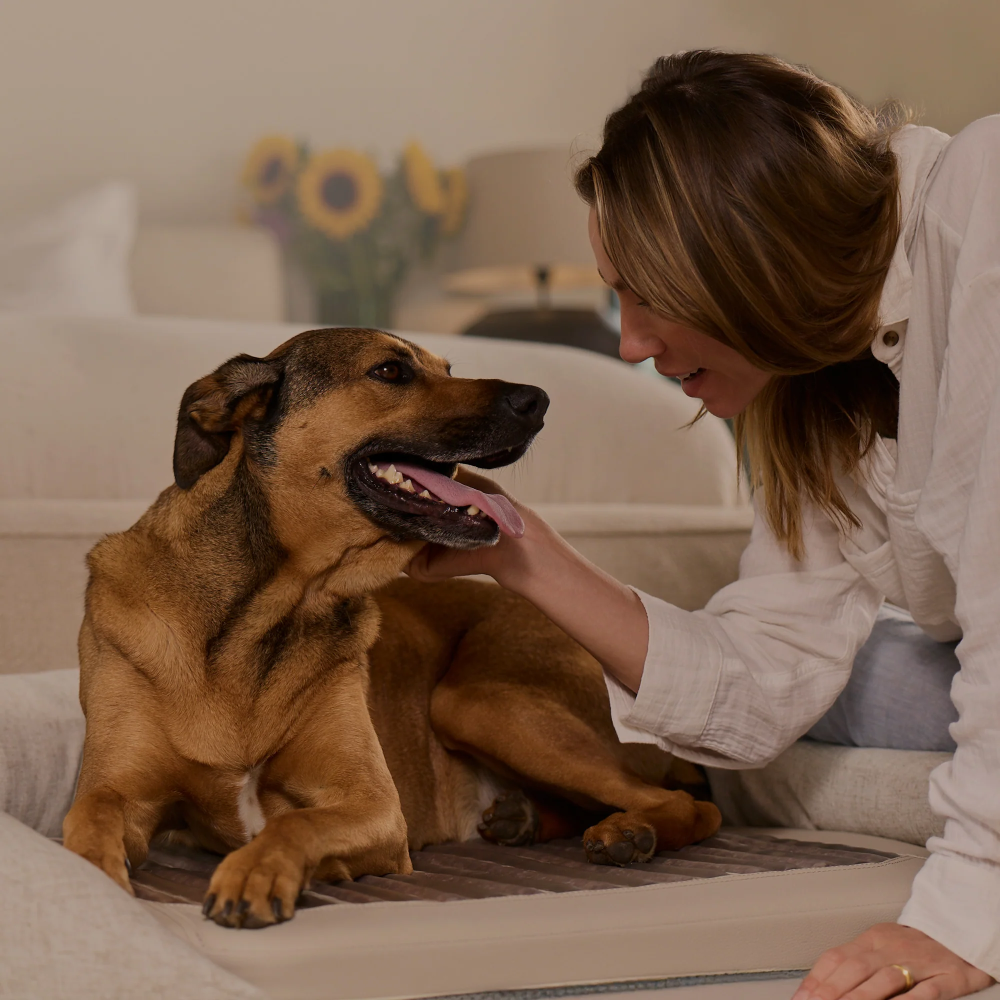 infrared-pemf-pet-bed image 5