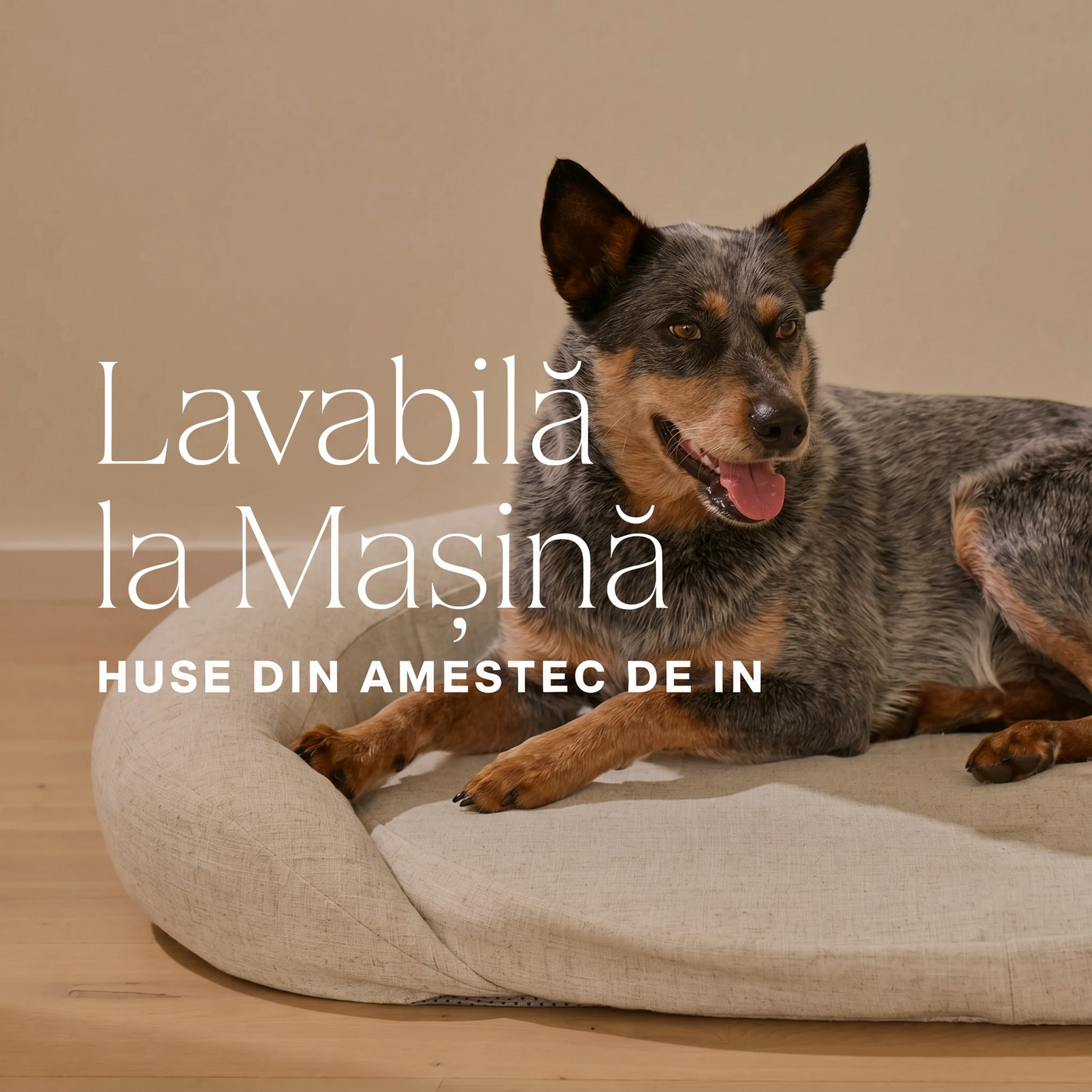 infrared-pemf-pet-bed image 7