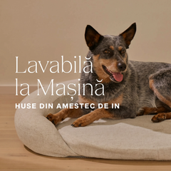 infrared-pemf-pet-bed image 7