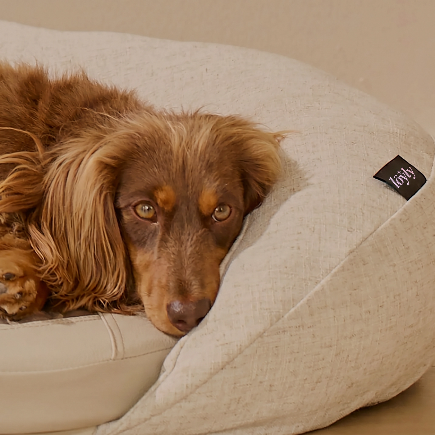 infrared-pemf-pet-bed image 8